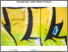 [thumbnail of PAQUIN_M_ED_11.pdf]